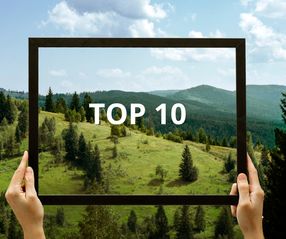 Top 10 im Bayerischen Wald